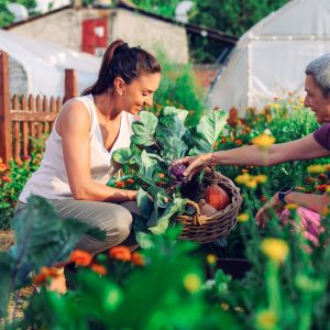 Chaussures de jardin pour femme en 2024 : focus sur trois modèles tendance