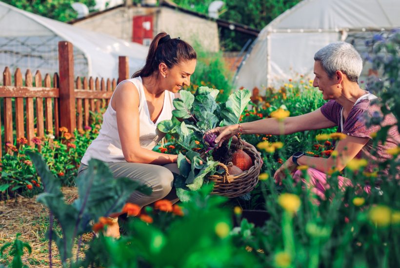 Chaussures de jardin pour femme en 2024 : focus sur trois modèles tendance